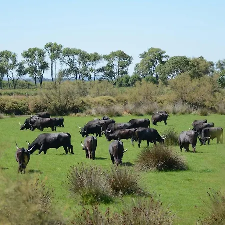 In With Private Pool And Airco Villa