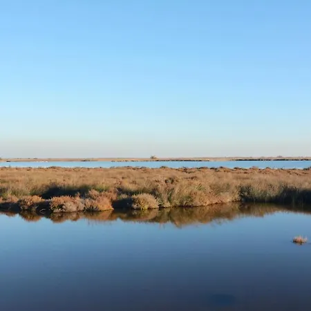 In With Private Pool And Airco Comps (Gard)